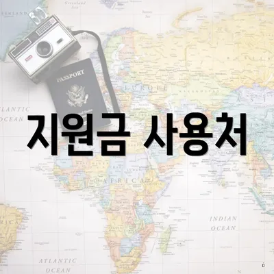 지원금 사용처