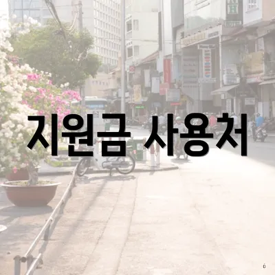 지원금 사용처