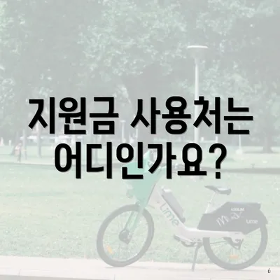 지원금 사용처는 어디인가요?