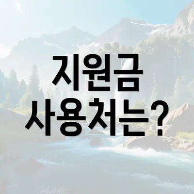 지원금 사용처는?