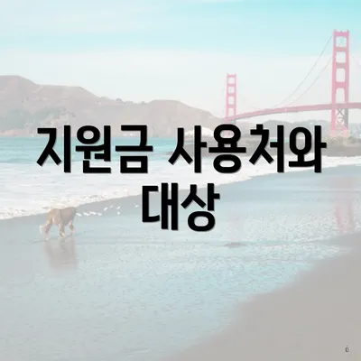 지원금 사용처와 대상