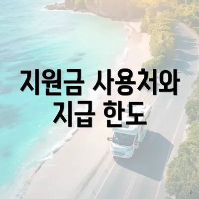지원금 사용처와 지급 한도