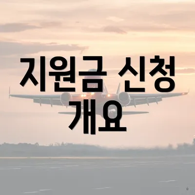 지원금 신청 개요