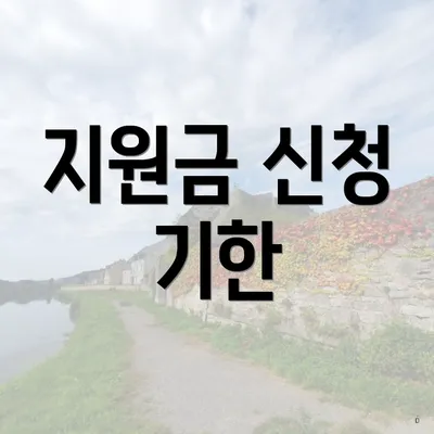 지원금 신청 기한
