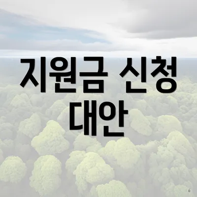 지원금 신청 대안