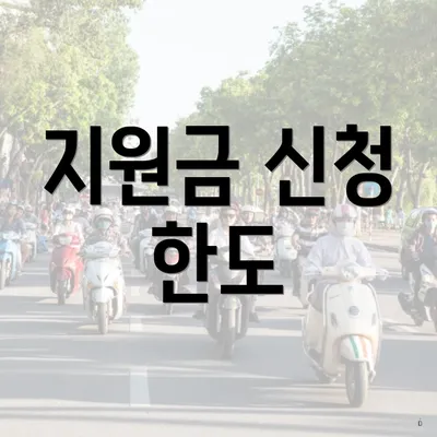 지원금 신청 한도