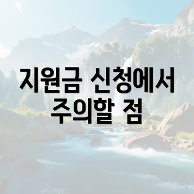 지원금 신청에서 주의할 점