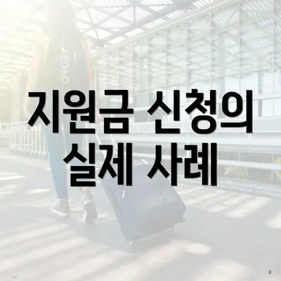지원금 신청의 실제 사례