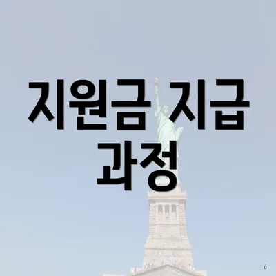 지원금 지급 과정