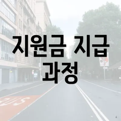 지원금 지급 과정