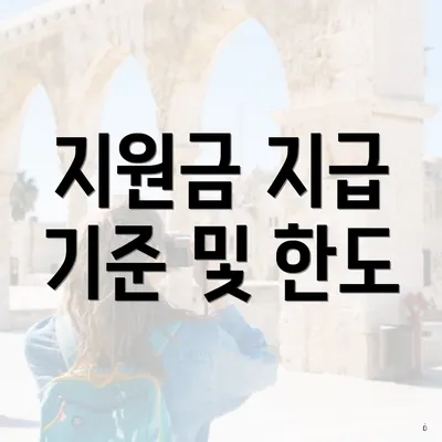 지원금 지급 기준 및 한도
