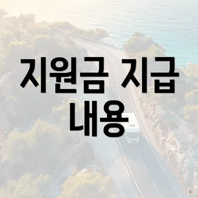지원금 지급 내용