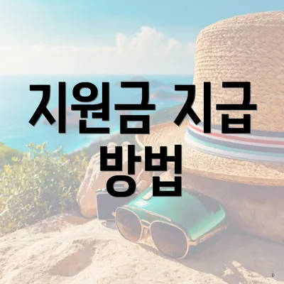 지원금 지급 방법