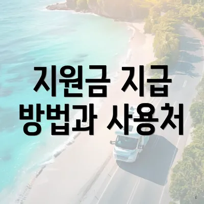 지원금 지급 방법과 사용처
