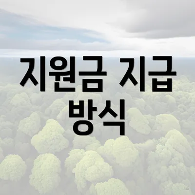지원금 지급 방식