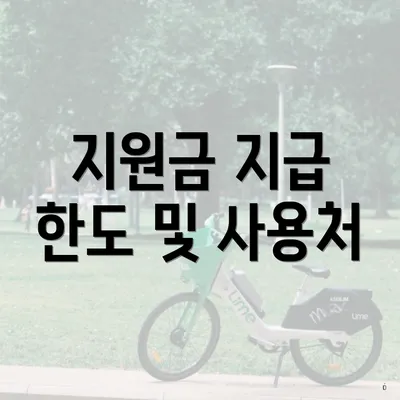 지원금 지급 한도 및 사용처