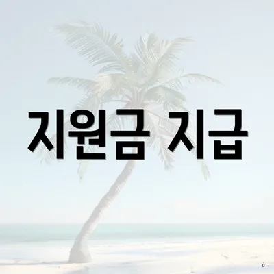 지원금 지급