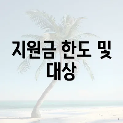 지원금 한도 및 대상