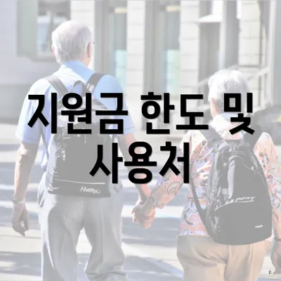 지원금 한도 및 사용처