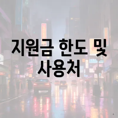 지원금 한도 및 사용처