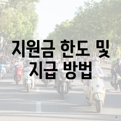 지원금 한도 및 지급 방법