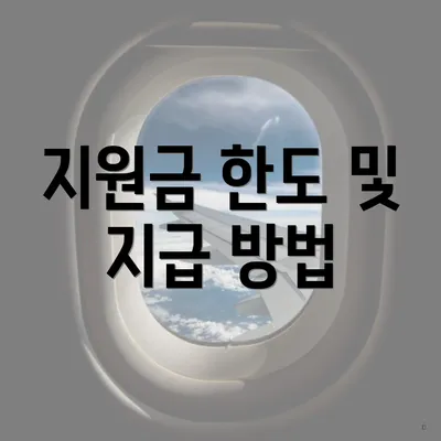 지원금 한도 및 지급 방법