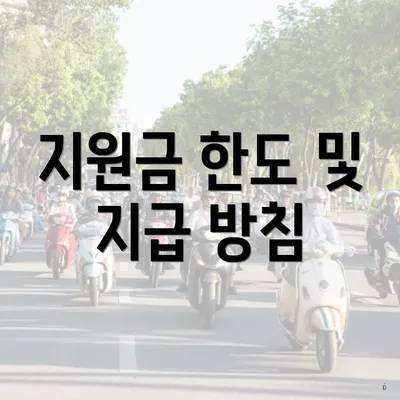 지원금 한도 및 지급 방침