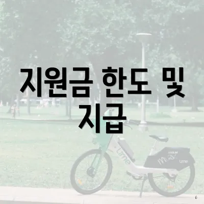 지원금 한도 및 지급