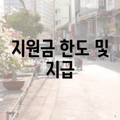 지원금 한도 및 지급