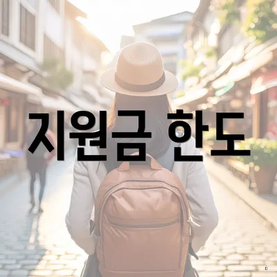 지원금 한도
