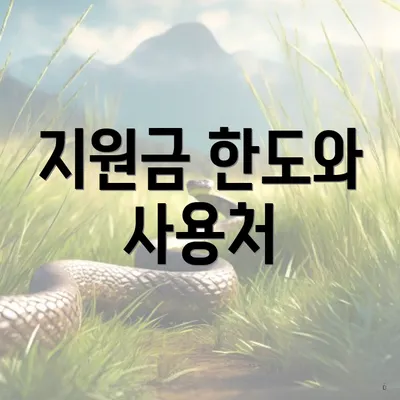 지원금 한도와 사용처