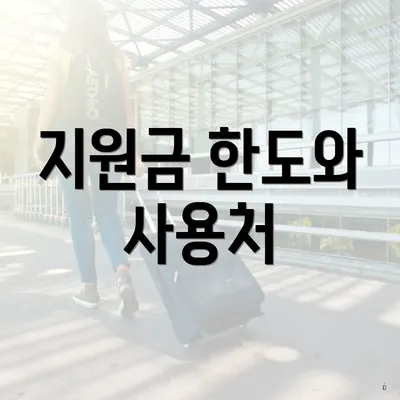 지원금 한도와 사용처