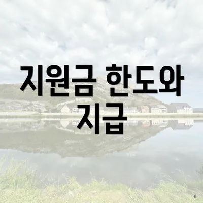 지원금 한도와 지급