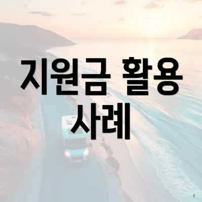 지원금 활용 사례