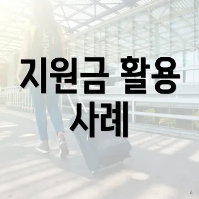 지원금 활용 사례
