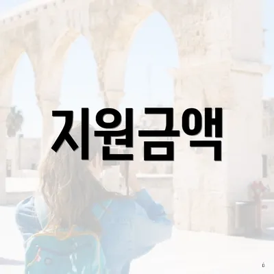 지원금액