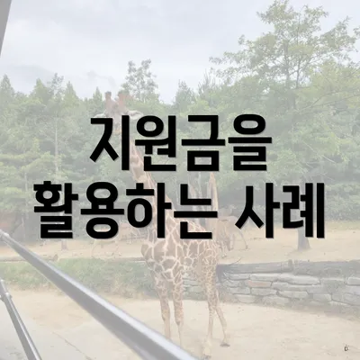 지원금을 활용하는 사례