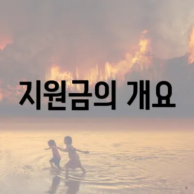 지원금의 개요