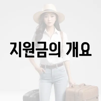 지원금의 개요