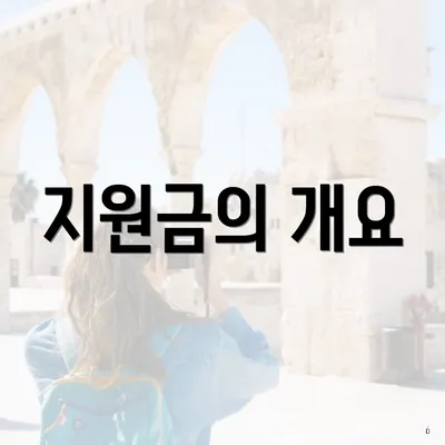 지원금의 개요
