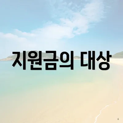 지원금의 대상