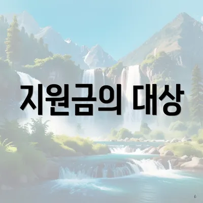 지원금의 대상