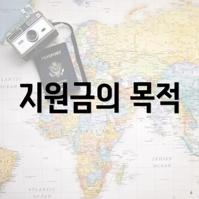 지원금의 목적