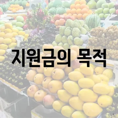 지원금의 목적