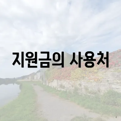 지원금의 사용처