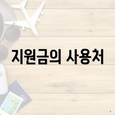 지원금의 사용처