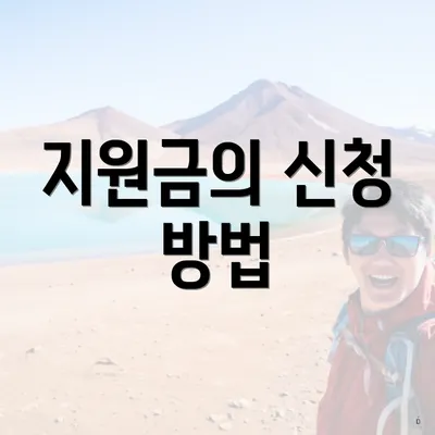 지원금의 신청 방법