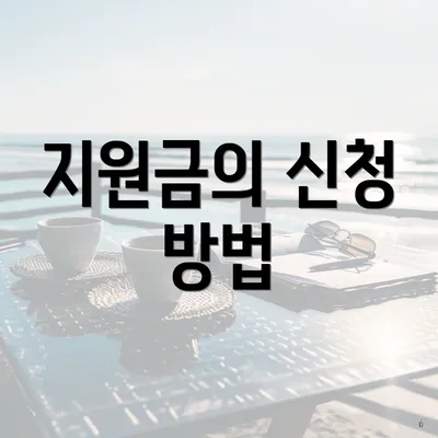 지원금의 신청 방법