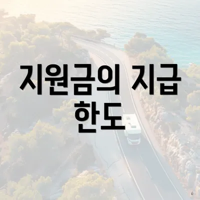 지원금의 지급 한도
