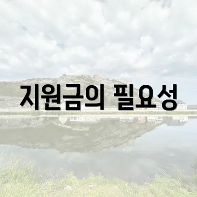 지원금의 필요성